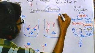 Complement fixation test [upl. by Klug833]