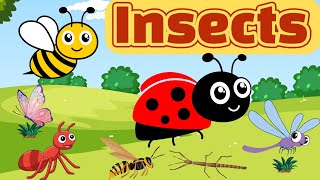 Insect names Insect vocabulary Insects Name in English Insects Pictures insects [upl. by Atiraj]