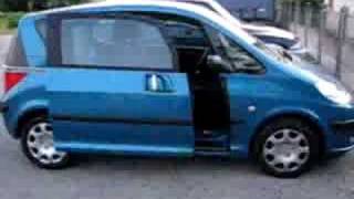 Peugeot 1007 automatic doors [upl. by Templa]