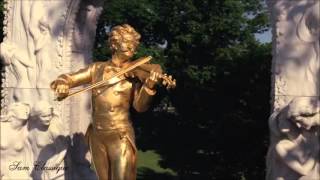 Johann STRAUSS Sang Viennois opus 354 [upl. by Annahsal]