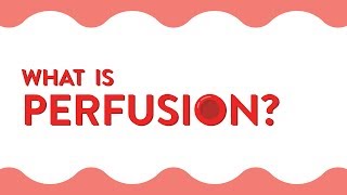 What Is Perfusion [upl. by Arolf]