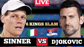 🔴LIVE Novak DJOKOVIC vs Jannik SINNER  6 Kings Slam 2024 Simulated by AO tennis 2 [upl. by Zingg]