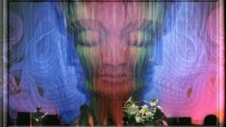 Tool Live Madison Square Garden 2001Full Concert DVD [upl. by Isla909]