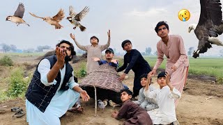 Trap Main Sparrows Phans gyen Magr……😍  Sikra Hen Ka Bacha La Giya 😢 [upl. by Licht]