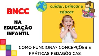 A importância da educação infantil Concepções e práticas pedagógicas [upl. by Aklim]