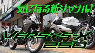 250アドベンチャー！ヴェルシスX 250｜kawasaki VERSYSX 250 [upl. by Anayk]