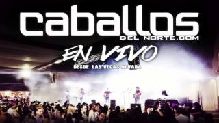 EN VIVO Maria Salome Caballos del norte [upl. by Ronyar137]