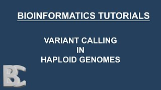 Short Clips  Variant calling in haploid genomes  snippy [upl. by Schreibman78]