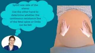 Abdominal Palpation Tutorial for Student Midwives [upl. by Laefar]