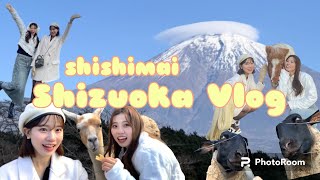 【静岡VLOG🗻🐏🍢】まかいの牧場静岡おでん街ゆるゆるvlog✨🤍 [upl. by Analad]