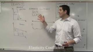 Elasticity of Demand and Supply Coefficients Micro Topic 24 and 25 [upl. by Birkner]