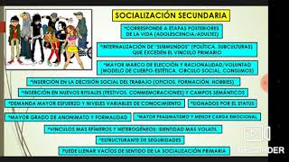 La socialización secundaria [upl. by Itnaihc]