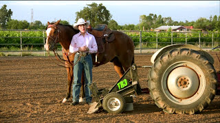 Sharon Camarillos Arena Drag  TR3 Rake [upl. by Emelyne]