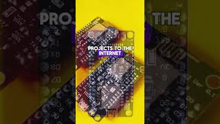 NodeMCU  Esp8266 Module Master the NodeMCU  Day 08 of 100  InDepth guide in the description [upl. by Pape198]