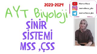 AYT BİYOLOJİ SİNİR SİSTEMİ 11SINIF aytbiyoloji [upl. by Frank]