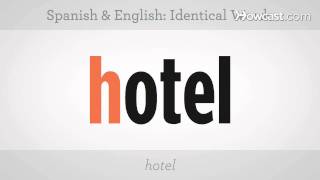 Identical Words in Spanish amp English  Spanish Lessons [upl. by Brenton]