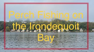 Perch fishing in the Irondequoit Bay gopro pennfishing [upl. by Pitarys]