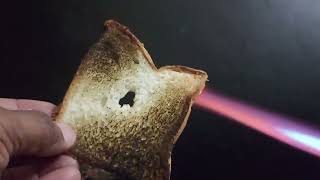 EXPERIMENT VIDEOS  BREAD VS FIRE  BREAD ON THE FIRE  FIRE VS BREAD  BREAD VIDEOS  THE GALAM [upl. by Edora]