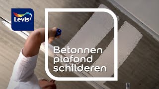 Betonnen plafond schilderen hoe doe ik dat  Levis Lets Colour [upl. by Claiborn]