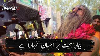 Bimaar e Muhabbat Pe Ehsaan Tumhaara Hai  New Arifana Kalam  Sufiyana  Sufi  Sufi Lines Sufism [upl. by Mann]