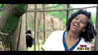 Ethiopia Mistre Manalimosh Dibo  Dimam Sew  NEW Ethiopian Music Video [upl. by Reider845]