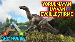 YORULMAYAN HAYVAN İGUANODON EVCİLLEŞTİRME  Ark Mobile Türkçe [upl. by Eilahtan]