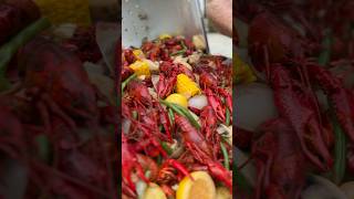 Backyard crawfish boil  food foodie cooking deliciousfood crawfishboil crawfish louisiana [upl. by Lenka658]