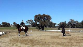 Ilse Schwarz Dressage Clinic May 2011 Young NSW Australia [upl. by Amlet]