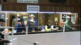 23 John Kline 2011 Greater Midwest Livestock Auction Competition [upl. by Gearhart]