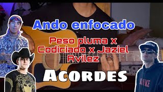 Ando enfocado  Peso pluma x Codiciado x Jaziel Avilez acordes [upl. by Yeslek]