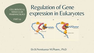 Gene regulation in Eukaryotes  CBMP  Part 14 [upl. by Atila]