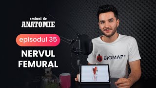 Nervul Femural Sesiuni de ANATOMIE  ep35 [upl. by Carothers]