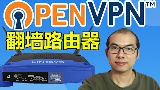 😀用OpenVPN打造😍超强OpenWRT路由器，让你轻松科学上网 [upl. by Ellinej87]