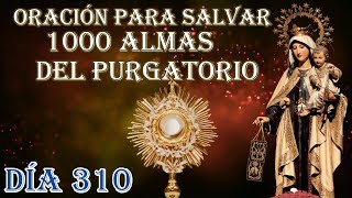 SALVAR 1000 ALMAS DÍA 310 [upl. by Alpert]