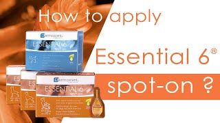 Капли на холку для собак Dermoscent Essential  Обзор Дермоссент Эссеншеал для собак [upl. by Amis]