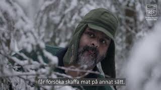 Om krisen kommer  informationsfilm från Älvdalens kommun [upl. by Aneekas148]