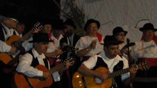 Celebración del Dia de Canarias [upl. by Enelie]