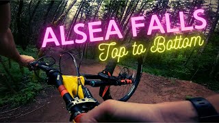 All the best Alsea Falls Trails in One Run [upl. by Inig]