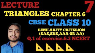 CBSE ncert class10  Triangles SIMILARITY CRITERION solution of Ex63 Q1 [upl. by Viccora735]