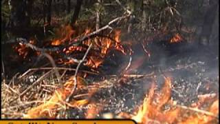 WAREHAM MA Firefighters Battle Large Brush Fire Along Rt 25 020910 [upl. by Duquette322]