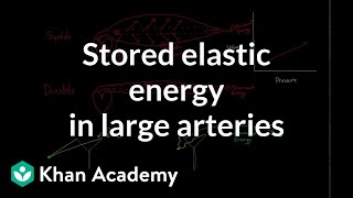 Stored elastic energy in large and middle sized arteries  NCLEXRN  Khan Academy [upl. by Atneuqal729]