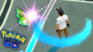 WILL THIS HACK HELP YOU FIND ZYGARDE CELLS IN POKEMON GO [upl. by Rudelson]