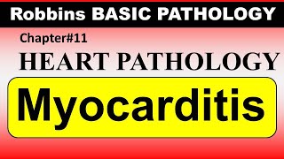 Chp11 Robbins Patho  Heart Pathology  Myocarditis  Dr Asif Lectures [upl. by Adnaloy]