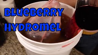 Blueberry Hydromel  First Fruit Hydromel [upl. by Enrique]