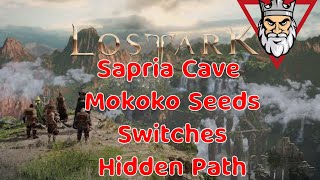 Lost Ark  Sapria Cave Mokoko Seeds  Switches Explained [upl. by Kristan37]