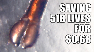 How to save 51 billion lives for 68 cents with simple Engineering [upl. by Alleciram333]