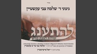 Meyein Olam Haba feat Shloime Hersh Ekstein [upl. by Leahcimluap]