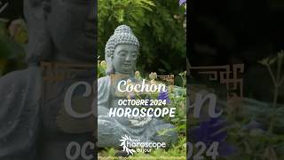 Votre Horoscope Chinois mensuel doctobre 2024 du cochon [upl. by Modestine]