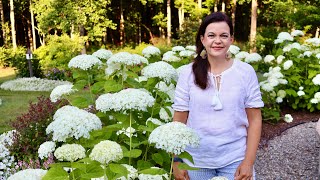 Epic June Garden Tour [upl. by Suollecram602]