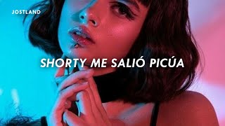 shorty me salió picúa  Don Omar LetraLyrics [upl. by Anial]